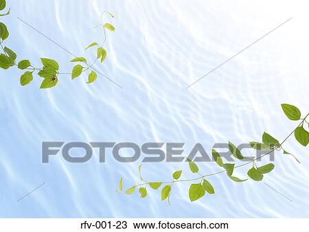 Floral Paper View Large Photo Image Stock Image - Floral Paper. Fotosearch