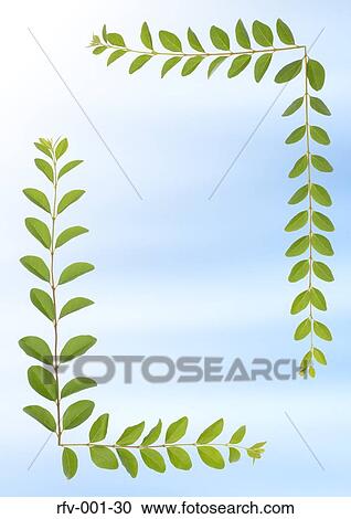 Floral Paper View Large Photo Image Stock Image - Floral Paper. Fotosearch