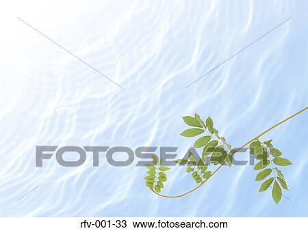 Floral Paper View Large Photo Image Stock Image - Floral Paper. Fotosearch