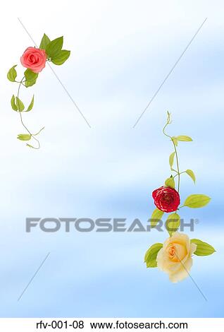 Floral Paper View Large Photo Image Stock Photo - Floral Paper. Fotosearch