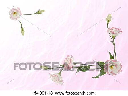 Floral Paper View Large Photo Image Stock Photo - Floral Paper. Fotosearch