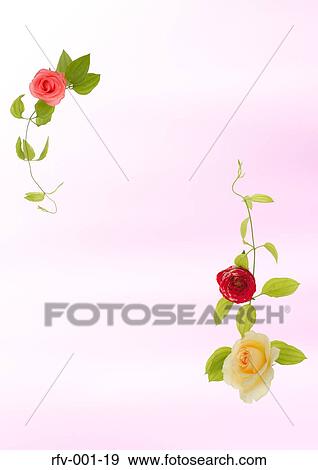 Floral Paper View Large Photo Image Stock Photo - Floral Paper. Fotosearch