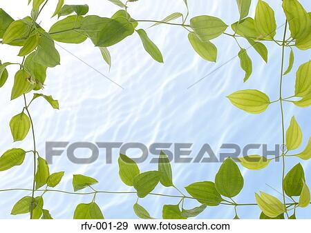 Floral Paper View Large Photo Image Stock Photo - Floral Paper. Fotosearch