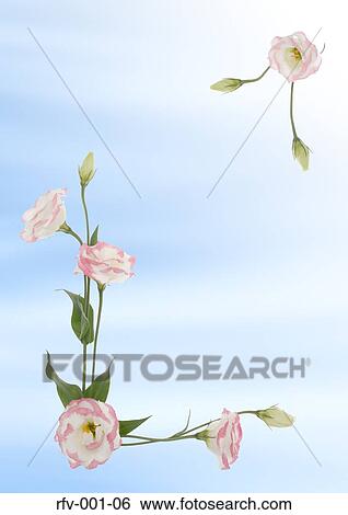 Floral Paper View Large Photo Image Stock Photograph - Floral Paper. Fotosearch