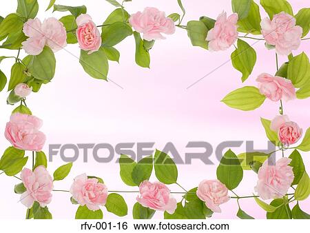 Floral Paper View Large Photo Image Stock Photograph - Floral Paper. Fotosearch