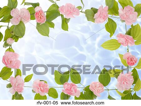 Floral Paper View Large Photo Image Stock Photography - Floral Paper. Fotosearch