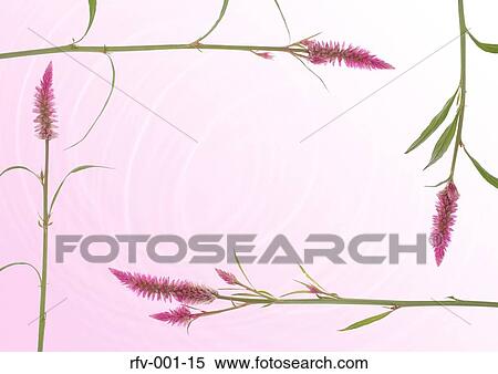 Floral Paper View Large Photo Image Stock Photography - Floral Paper. Fotosearch