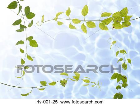 Floral Paper View Large Photo Image Stock Photography - Floral Paper. Fotosearch