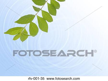 Floral Paper View Large Photo Image Stock Photography - Floral Paper. Fotosearch