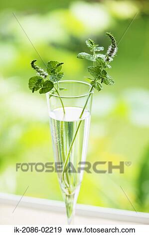 Stock Photo - Flower leaves in a glass. Fotosearch