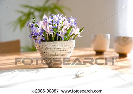 Flower Vase on Table and Japanese Tea in Background View Large Photo Image Stock Photo - Flower Vase on Table and Japanese Tea in Background. Fotosearch