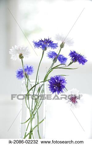 Stock Image - Flowers decorated in a vase. Fotosearch