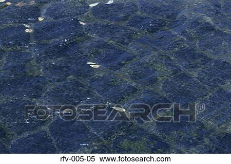 Stock Photography - Flowing Water. Fotosearch
