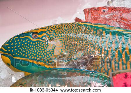 Fresh fishes presreved on ice View Large Photo Image Picture - Fresh fishes presreved on ice. Fotosearch