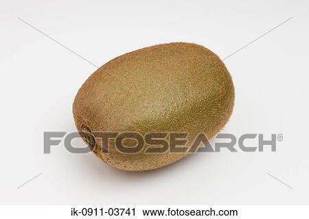 Fresh kiwi fruit View Large Photo Image Stock Image - Fresh kiwi fruit. Fotosearch