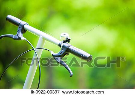 Fresh Yellowish Green Leaf View Large Photo Image Stock Photo - Fresh Yellowish Green Leaf. Fotosearch