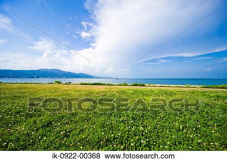 Grass on Seaside against Cloudy Sky View Large Photo Image Stock Photo - Grass on Seaside against Cloudy Sky. Fotosearch