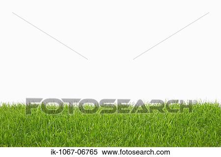 Stock Photography - Grass. Fotosearch