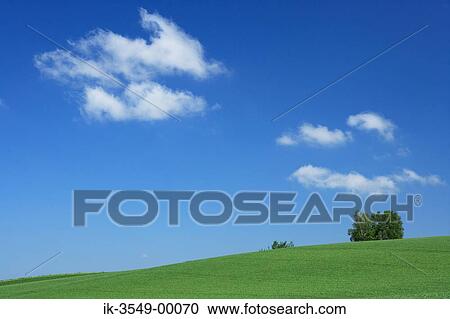 Stock Image - Grassland with blue sky in countryside. Fotosearch