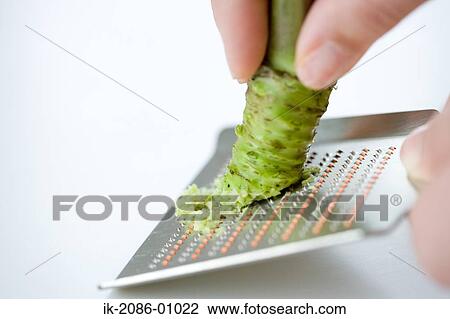 Grating Japanese Horseradish View Large Photo Image Stock Image - Grating Japanese Horseradish. Fotosearch