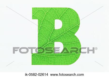 Green Alphabet B on White Background View Large Photo Image Picture - Green Alphabet B on White Background. Fotosearch
