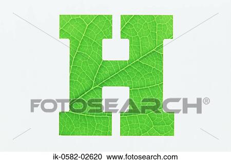 Green Alphabet H on White Background View Large Photo Image Stock Image - Green Alphabet H on White Background. Fotosearch