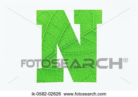 Green Alphabet N on White Background View Large Photo Image Stock Photograph - Green Alphabet N on White Background. Fotosearch
