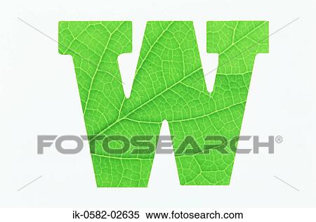 Green Alphabet W White Background View Large Photo Image Stock Photography - Green Alphabet W White Background. Fotosearch