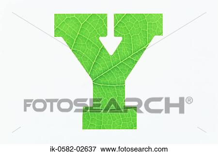 Green Alphabet Y White Background View Large Photo Image Stock Photo - Green Alphabet Y White Background. Fotosearch