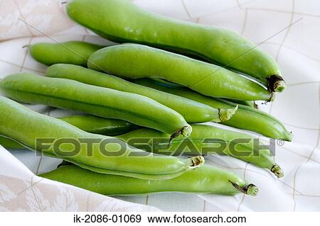 Stock Photo - Green Beans on Tablecloth. Fotosearch