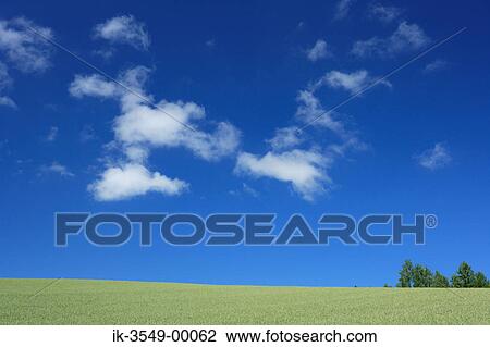 Green grassland against blue sky View Large Photo Image Stock Image - Green grassland against blue sky. Fotosearch