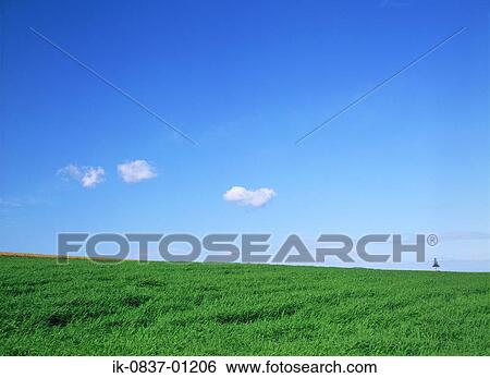 Green grassland against blue sky View Large Photo Image Stock Photograph - Green grassland against blue sky. Fotosearch