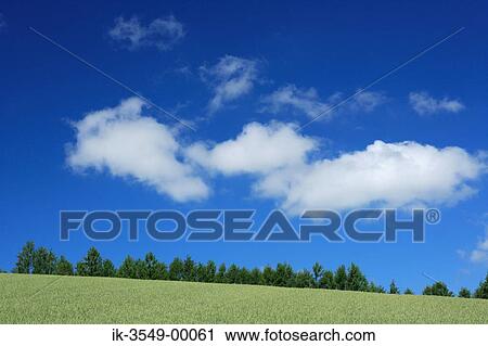 Green grassland with clouds in sky View Large Photo Image Stock Image - Green grassland with clouds in sky. Fotosearch