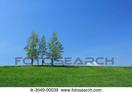 Stock Photo - Green grassland with trees and blue sky. Fotosearch