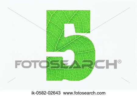Green Number 5 on White Background View Large Photo Image Stock Image - Green Number 5 on White Background. Fotosearch