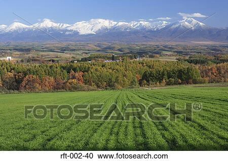 Stock Image - Greenery. Fotosearch