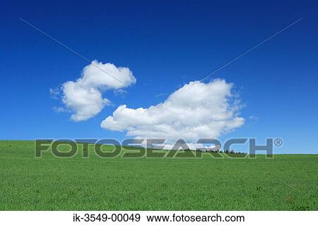 Stock Photo - Greens grassland. Fotosearch