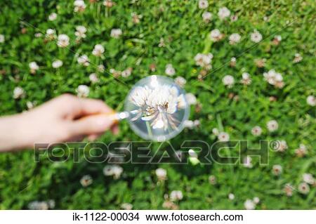 Hand observing flowers with magnifying glass View Large Photo Image Picture - Hand observing flowers with magnifying glass. Fotosearch