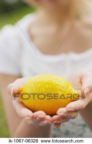 Hands of a woman holding fresh lemon View Large Photo Image Stock Photo - Hands of a woman holding fresh lemon. Fotosearch