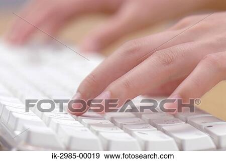 Hands Typing on a White Keyboard View Large Photo Image Stock Photo - Hands Typing on a White Keyboard. Fotosearch