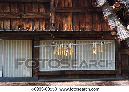 Stock Image - Hanging Corn Cobs and Japanese House in Background . Fotosearch