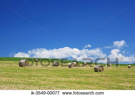 Stock Photo - Hay bales in grasslands against blue sky. Fotosearch