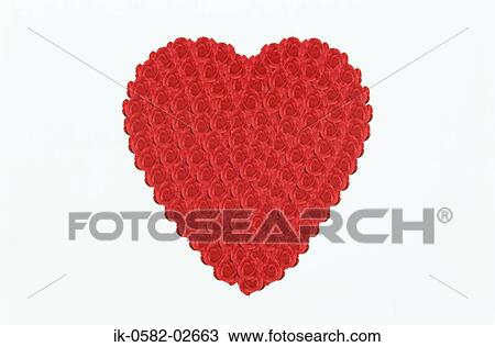 Heart Shape Made of Roses View Large Photo Image Stock Image - Heart Shape Made of Roses. Fotosearch