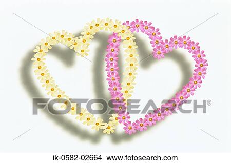 Heart Shaped Floral Frame View Large Photo Image Picture - Heart Shaped Floral Frame . Fotosearch