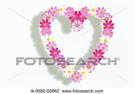 Heart Shaped Floral Frame with Pink Flowers View Large Photo Image Stock Image - Heart Shaped Floral Frame with Pink Flowers. Fotosearch