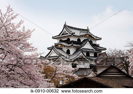 Hikone-Shi Castle at Shig Prefecture in Japan View Large Photo Image Stock Image - Hikone-Shi Castle at Shig Prefecture in Japan . Fotosearch