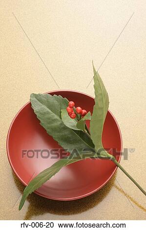 Stock Image - Holly. Fotosearch
