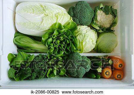 Hood of Fresh Vegetables in Refrigerator View Large Photo Image Stock Photography - Hood of Fresh Vegetables in Refrigerator. Fotosearch