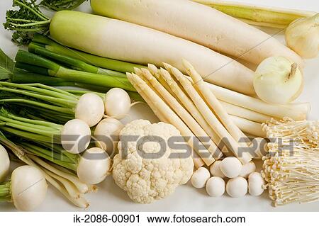 Hood of Mixed Vegetables in Studio View Large Photo Image Stock Image - Hood of Mixed Vegetables in Studio. Fotosearch