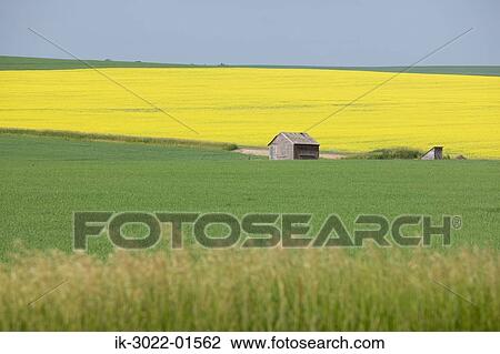 Hut in Calgary, Canada View Large Photo Image Stock Image - Hut in Calgary, Canada. Fotosearch